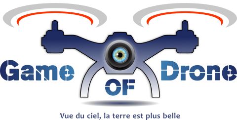 Logo Game Of Drone
